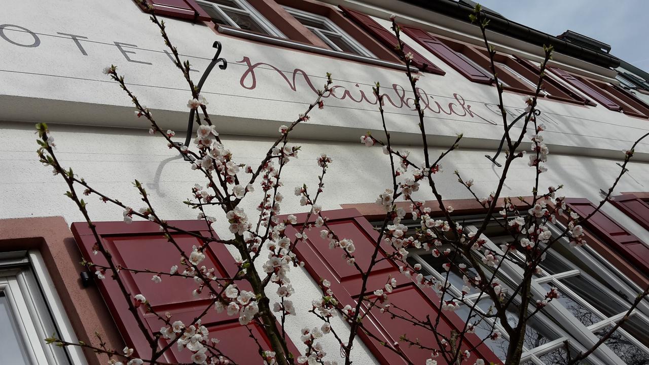 Hotel Mainblick Garni Marktheidenfeld Eksteriør billede